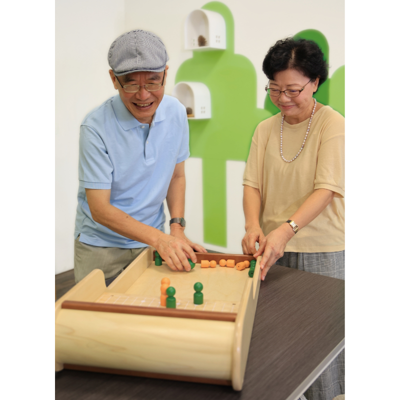 【台灣 PlayMe Toys 】親子樂齡爬坡球檯木製玩具